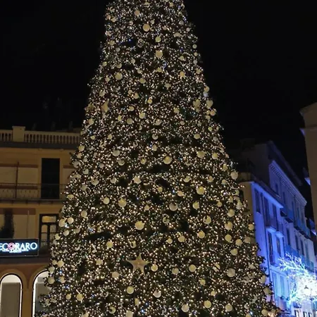 M7 فندق مبيت وإفطار 4*